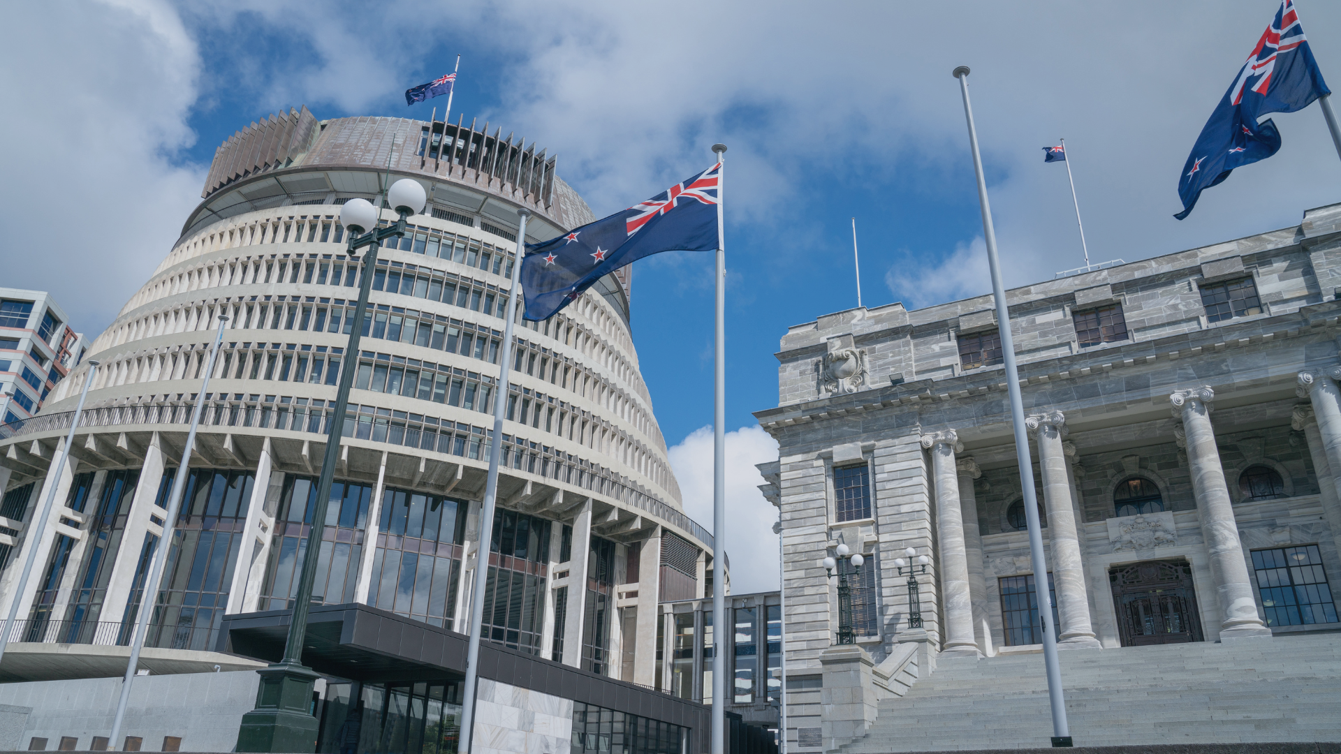 NZ Government