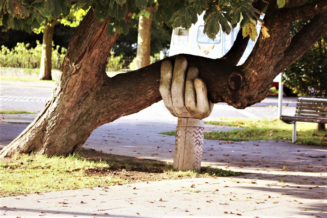 Hand holding tree-1